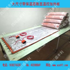 帶保溫層硅膠加熱帶
